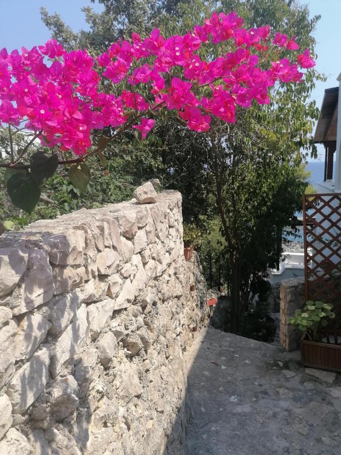 Villa Marigiosa Salento Marittima Exterior foto